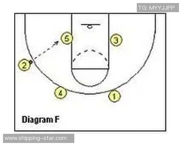 重庆排球队快攻战术解析与训练方法深度剖析